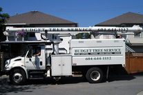 Budget Tree Truck Vehicle graphics, Burnaby, Vancouver area