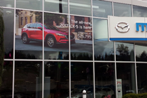 Removable temporary, printed window graphics