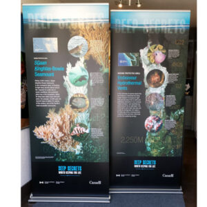 33.5"x 79" premium retractable banner